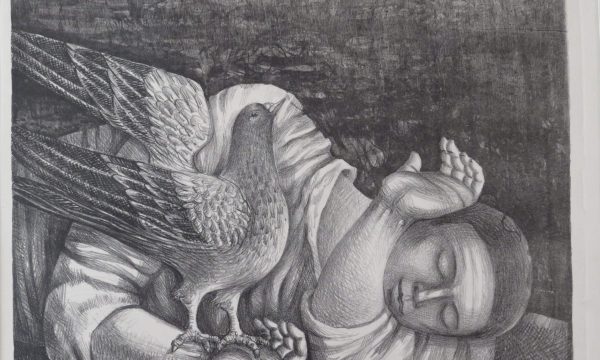 el_sueno_con_paloma_paloma_temas_anibal_gil_maestro_artista_colombiano